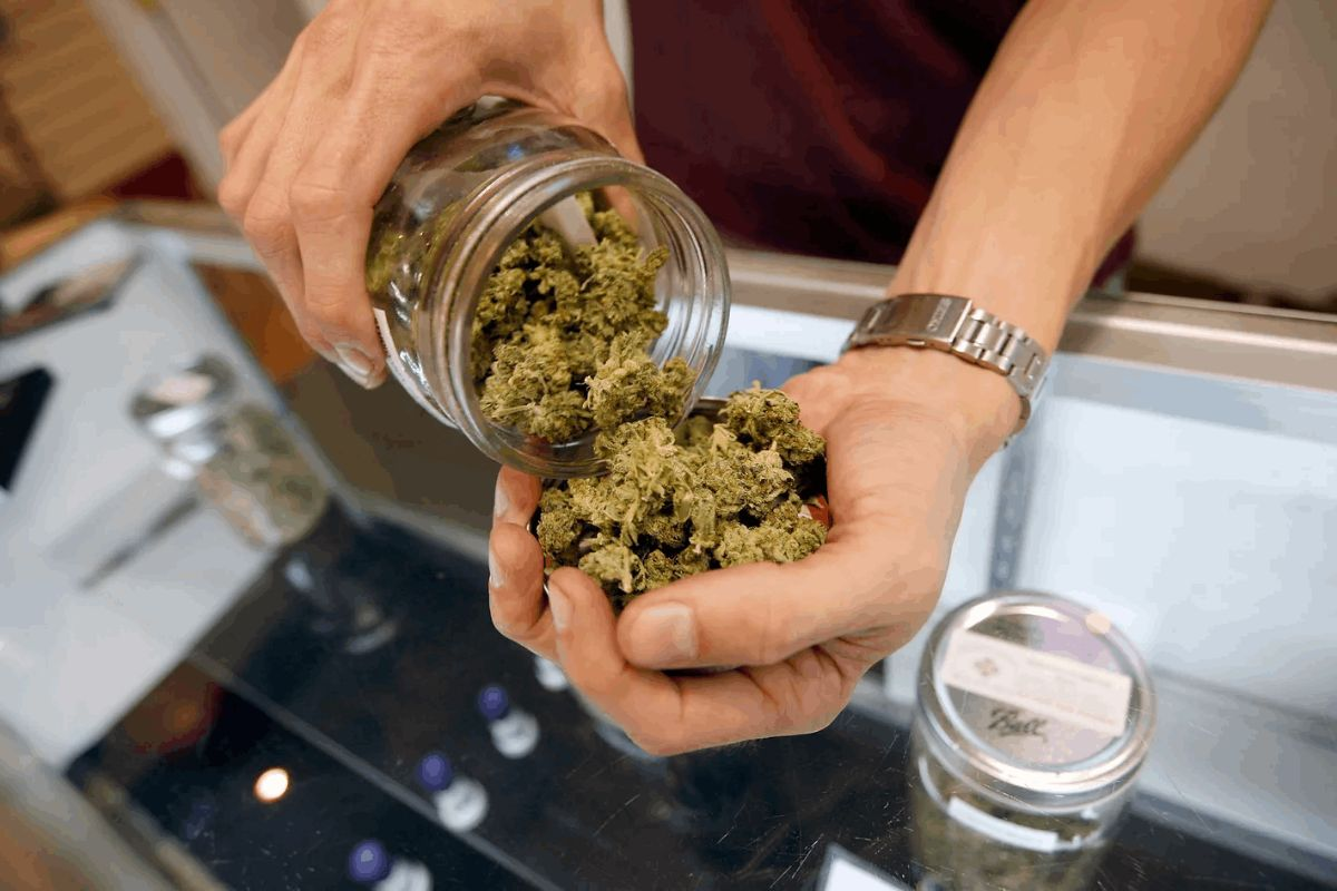 Discovering the Perfect Online Dispensary in Canada