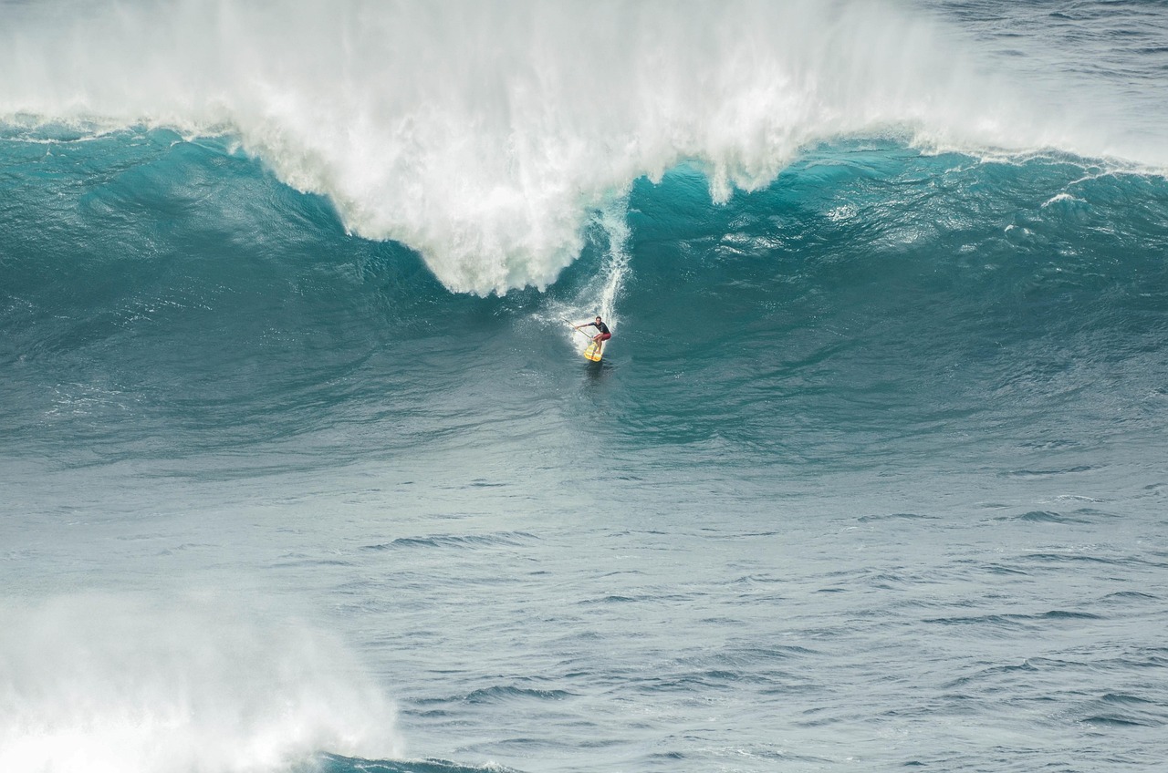 Surfer, sport, waves — Maximizing Your Win Rate Through Real-Time Data and Live Broadcasting Insights
