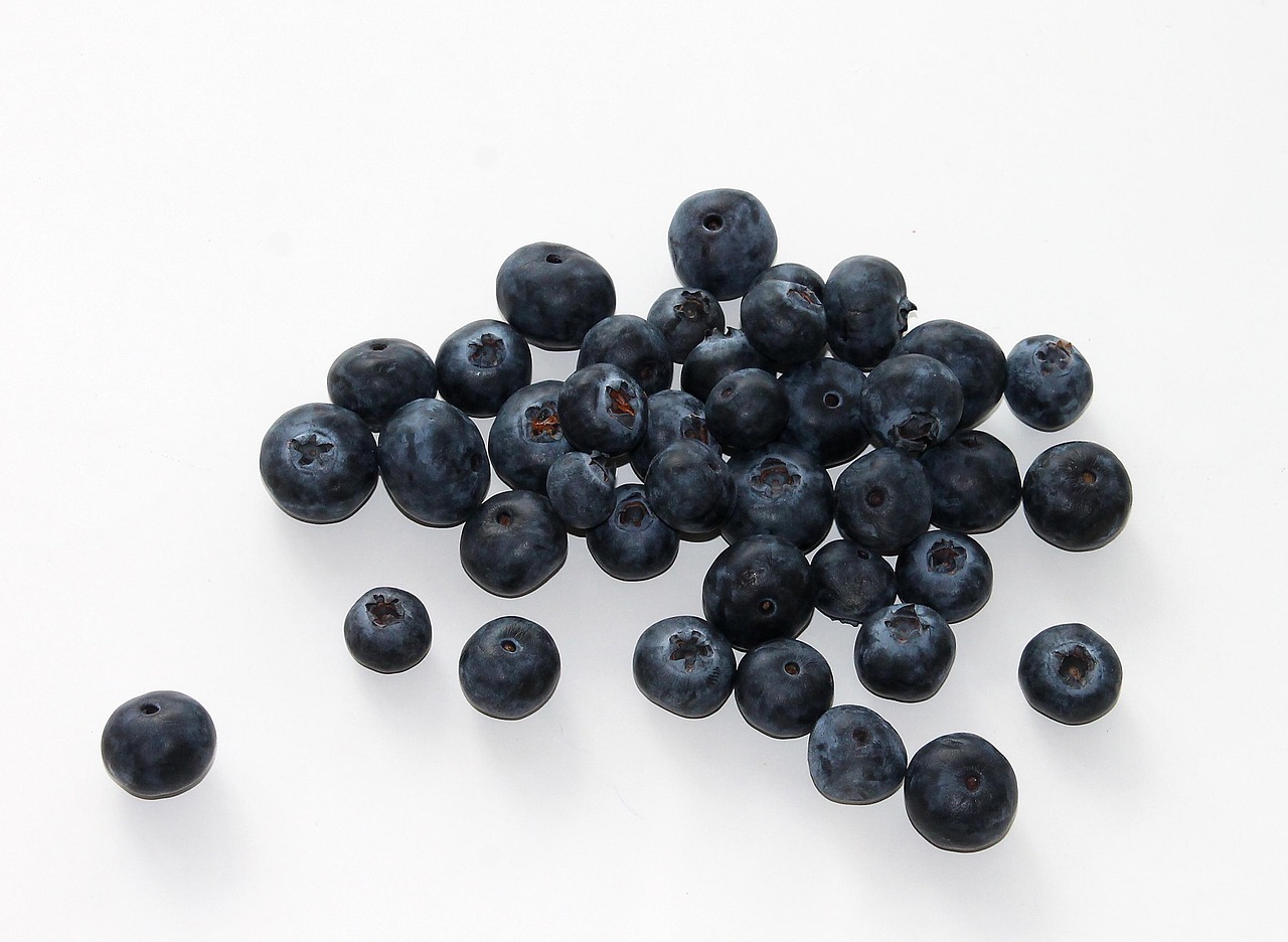 Blueberry, fruit, food — Personalized Care for Headache Relief: Dr. John Pispidikis' Approach