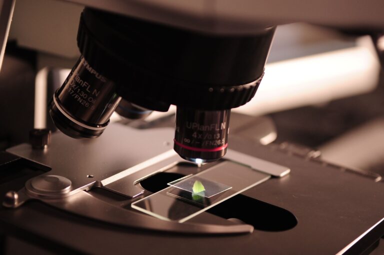 Close-up of a microscope lens focused on a slide with a leaf sample